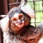 Puerto Vallarta Botanical Gardens Hiking Tour - Who Will Love This Experience?