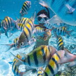 Puerto Vallarta: Los Arcos Islands Boat Tour and Snorkeling - Authentic Wildlife and Scenery Encounters
