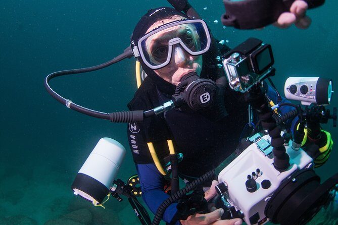 Puerto Vallarta Undersea Private Scuba Diving - Who Will Love This Tour?