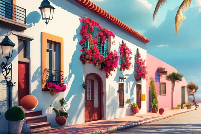 Puerto Vallarta VIP Promotional Tour - What We Love About This Tour