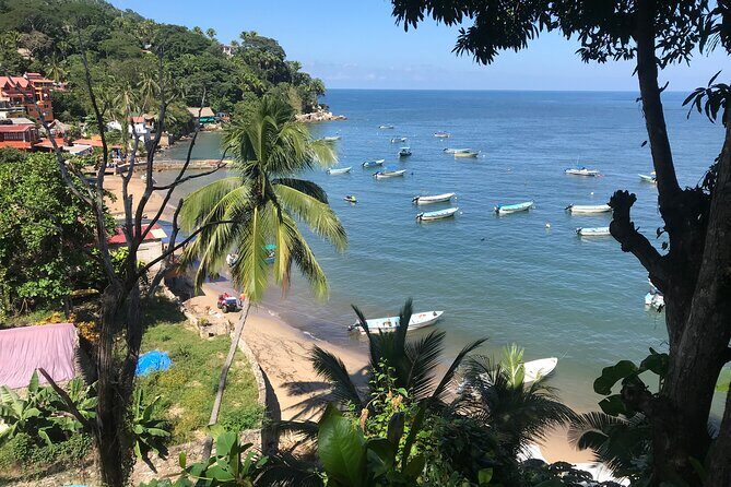 Puerto Vallarta's Yelapa Boat & Walking Tour with Tequila Tasting - A Deep Dive into the Day