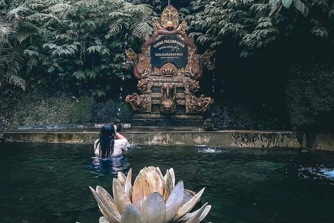 Purification Ceremony, Kehen Temple and Goa Raja Waterfall Tour - Authentic Feedback from Travelers