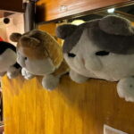 Purrrrfect Osaka Cook'n'eats - Value & Practical Tips