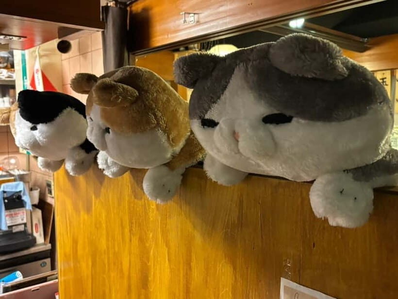 Purrrrfect Osaka Cook'n'eats - Value & Practical Tips