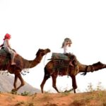 Pushkar Day Trip with Camel Safari From Jaipur By Car. - Final Thoughts: Is This Tour Right for You?