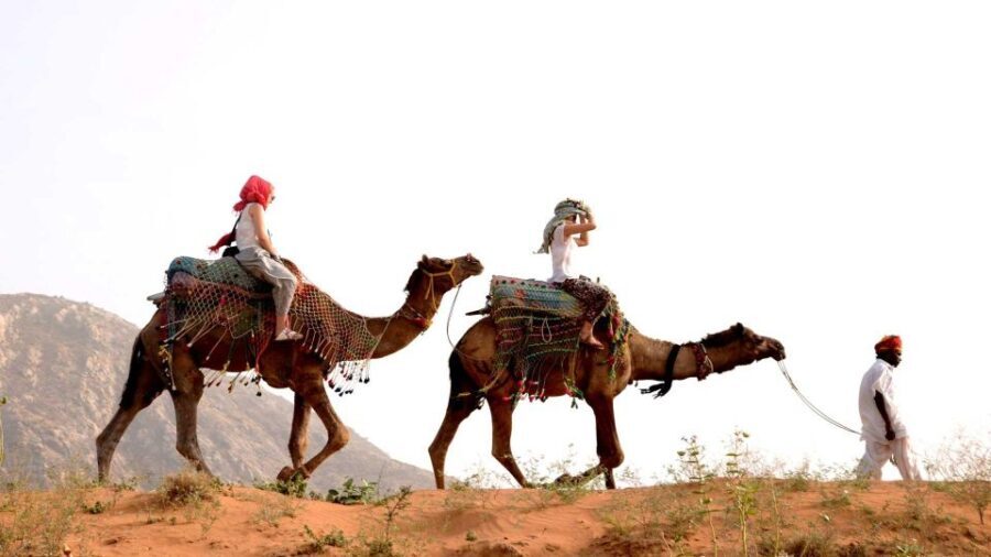 Pushkar Day Trip with Camel Safari From Jaipur By Car. - Final Thoughts: Is This Tour Right for You?