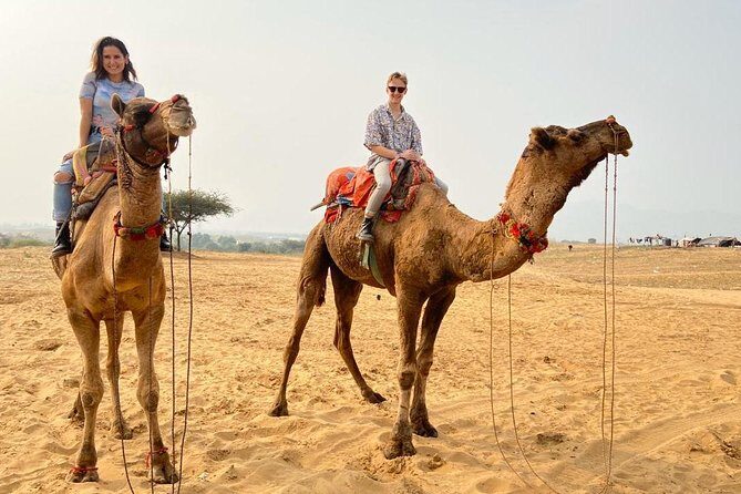 Pushkar Full Day Tour from Jaipur with All Inclusive - Practical Details and Considerations