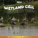 Putrajaya: Wetland Studios Admission Ticket - The Educational Exhibits and Workshops