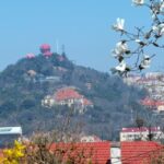 Qingdao: City Highlights and Tsingtao Beer Museum - Why This Tour Is a Great Fit
