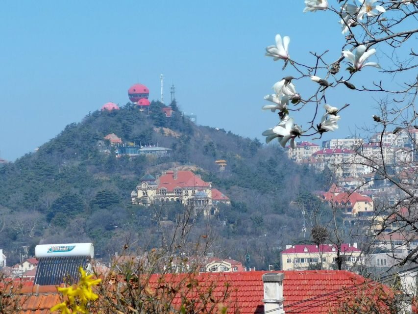 Qingdao: City Highlights and Tsingtao Beer Museum - Why This Tour Is a Great Fit