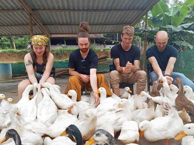 Quang Binh: Explore Phong Nha Cave and Experience Rural Life - Analyzing the Value and Who It’s For