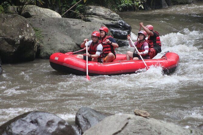 Rafting at Ayung River(Include Return Hotel Transportation) - Who Would Love This Tour?