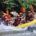 Rafting Swing Monkey Forest And Waterfall Tour All Inclusive - Who This Tour Is Best For