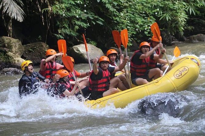 Rafting Swing Monkey Forest And Waterfall Tour All Inclusive - Who This Tour Is Best For