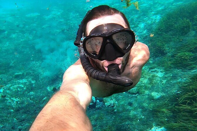 Rainbow River: 8AM & 3PM Snorkel or Scenic Wildlife Cruise - The Sum Up: Who should consider this Rainbow River cruise?