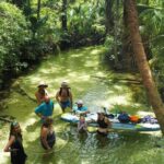 Rainbow Springs Clear Kayak and Paddleboard Rentals - The Scenic Route and Wildlife Sightings