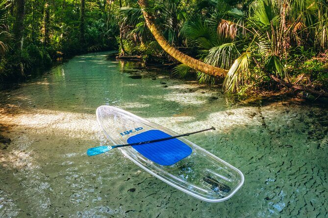 Rainbow Springs: Clear Kayak & Snorkel Eco Tour - What to Expect from the Itinerary