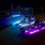 Rainbow Springs: Clear Kayak Sunset & Glow Tour - Who Would Love This Tour?