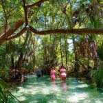 Rainbow Springs Paddle Adventure - Exploring the Rainbow Springs Paddle Adventure in Detail