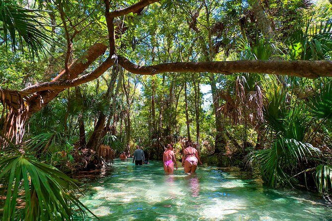 Rainbow Springs Paddle Adventure - Exploring the Rainbow Springs Paddle Adventure in Detail