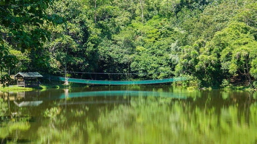 Rainforest Tour, Labuk Bay, Sun Bear & Sepilok | Sandakan - A Deep Dive into the Experience