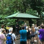 Rainforest Waterfall Trail and Shuttle Service - The Real Value of the Rainforest Waterfall Trail
