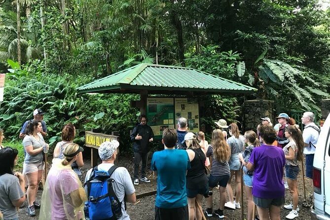 Rainforest Waterfall Trail and Shuttle Service - The Real Value of the Rainforest Waterfall Trail