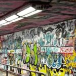 Raleigh Full Day Historian-Guided Driving and Walking Tour - Practicalities and What You’ll Love