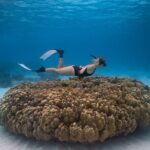 Raya Island / Mai Ton Island Private Boat Tour - What Makes This Tour Stand Out?