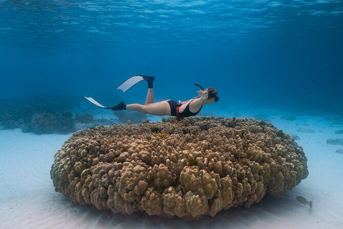 Raya Island / Mai Ton Island Private Boat Tour - What Makes This Tour Stand Out?