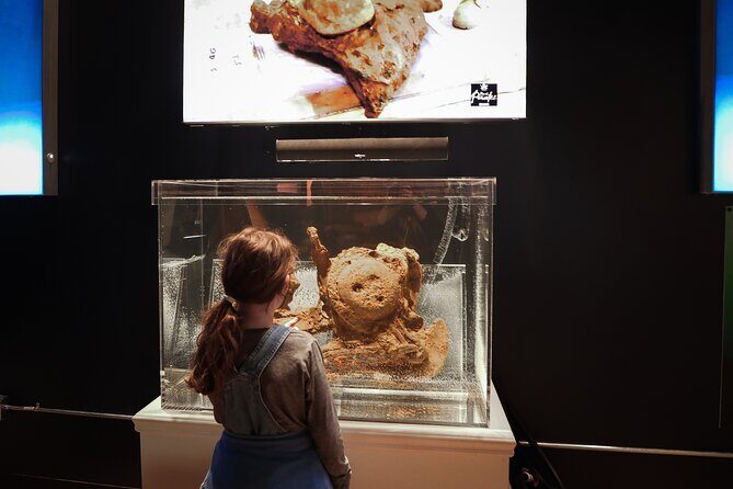 Real Pirates Salem Museum with Guided Directors Tour - Who Will Love This Tour?