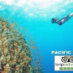 Real snorkel trip to explore Cham island by speedboat-SMALL GROUP - FAQs