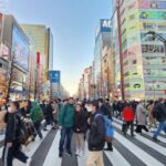 Real Tokyo in one day with a local - Why This Tour Works For Travelers