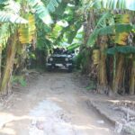 Red River Delta Countryside+ Rural Villages, rice Paddies fields - Detailed Review of the Hanoi Countryside Jeep Tour