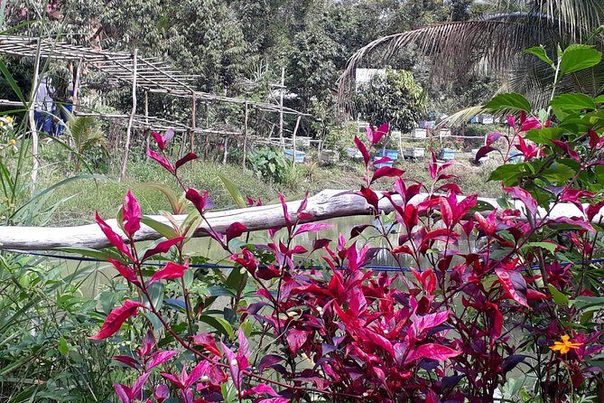 RED RIVER TOUR (Private Tour): LAND ISLAND TOUR AROUND THE SOUTH - Transportation and Guides: The Heart of the Experience