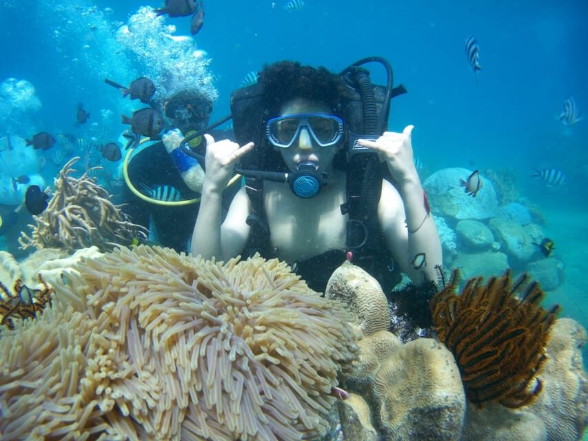 Red River Tour - Scuba Diving At Roi Island Phu Quoc - An In-Depth Look at the Roi Island Scuba Tour