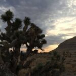 Red Rock Canyon Sunset Horseback Ride and Barbeque Dinner - Final Thoughts: Is It Worth It?