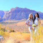 Red Rock Canyon Wedding by Private Limousine - Who is This Tour Best For?