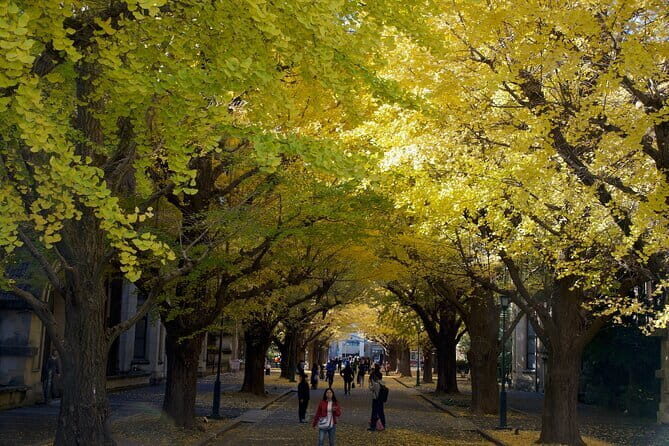 Red, Yellow and Brown - Visit autumn leaves spots in Tokyo - Frequently Asked Questions