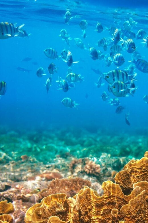 RedRiverTour-Discovery 3 Islets, Snorkeling &Fishing By Boat - Why This Tour Works for You