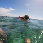 Reef Snorkel In National Park In Puerto Morelos With Lunch And Transportation - FAQ