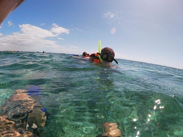 Reef Snorkel In National Park In Puerto Morelos With Lunch And Transportation - FAQ