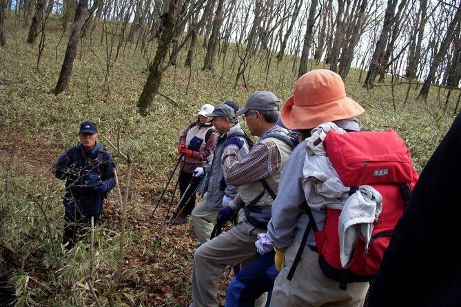 Relax and refresh in Karuizawa Forest! Shinanoji down trekking around two people - Who Should Consider This Tour?