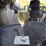 Relaxing Afternoon Wine Tour through Niagara's Wine Country - An In-Depth Look at the Niagara Wine Tour Experience
