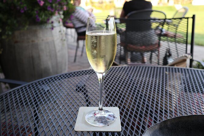 Relaxing Afternoon Wine Tour through Niagara's Wine Country - An In-Depth Look at the Niagara Wine Tour Experience