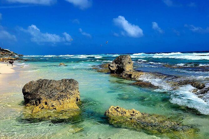 Rent Jeep 4 Doors with Air Conditioning Cozumel Excursion - Who Will Love This Experience?