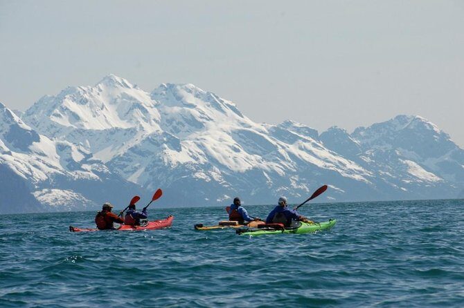 Resurrection Bay Kayaking Adventure - Summary