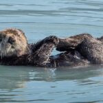 Resurrection Bay Spring Wildlife Cruise - On-Board Amenities and Comfort
