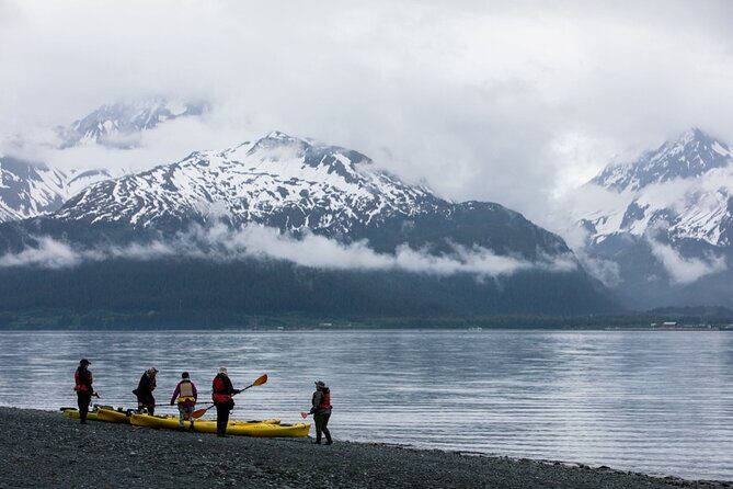 Resurrection Bay Waterfall And Rainforest Adventure - Who Is This Tour Best For?