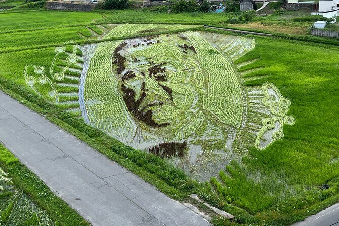 Rice Paddy Art Half day tour in Aomori - In-Depth Review of the Rice Paddy Art Half Day Tour in Aomori